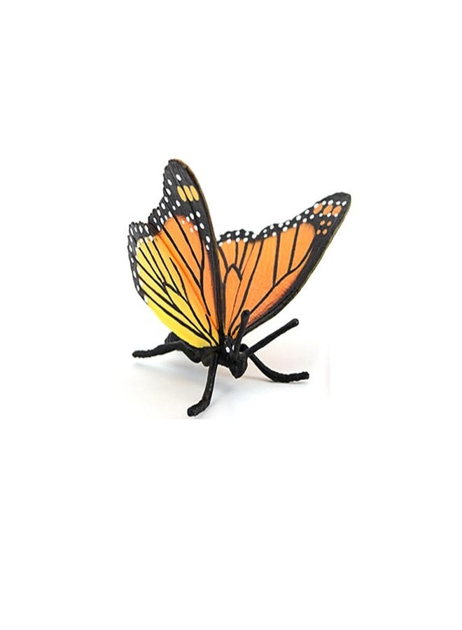 Hvogvok Butterfly Growth Cycle, Animal Growth Cycle Biological Model, Growth Stage Lifelike Butterfly Life Cycle Model Set for Kids Education Insect Themed Party Favors - Image 5